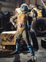 Venusturtle