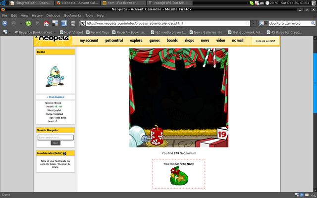 檔案:20081219-FreeNC-ScreenCapture.png