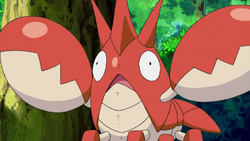 Ash Corphish.png
