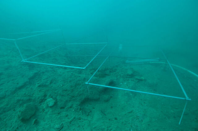 File:Desilo acheological underwater site at Hutovo Blato.jpg