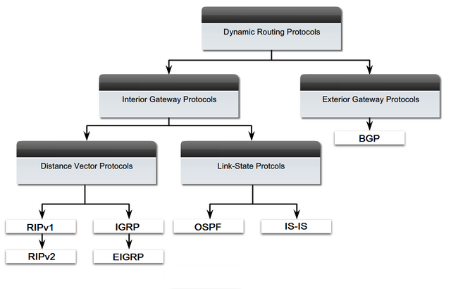 File:Dynamic routing protocols.png