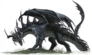Black dragon by benwootten