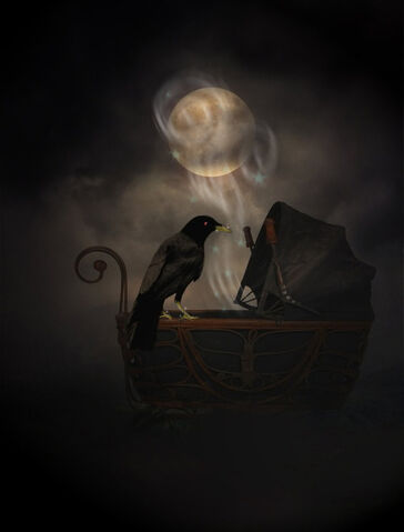 File:Crow.jpg