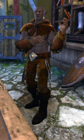 File:Armor Trader.jpg