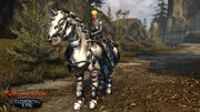 Oathbound-Paladin-1