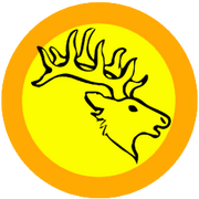 Jabir Coin