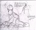 Thumbnail for version as of 14:09, November 24, 2013