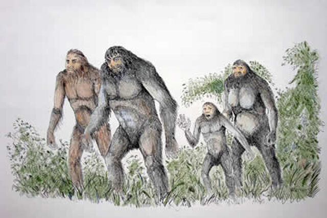 File:Amomongo.jpg