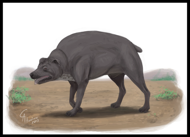File:Itzcuintlipotzotli by camusaltamirano-d64pdzd.png