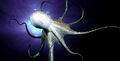 Thumbnail for version as of 08:35, December 1, 2013