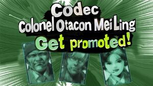 CodecAlts