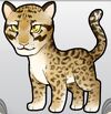 LeopardTan