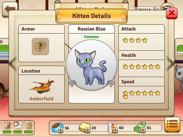 File:Russian Blue - Common.jpg