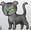 LevkoyGray