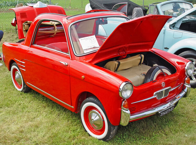 File:Micris famil 59.jpg