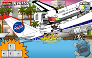 Miami Shark