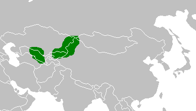 File:Sarbhkingdom.png