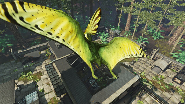 File:Tupandactylus pic 3.jpg