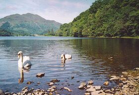 Lake Creekford