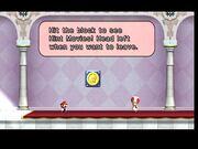WII44.won mario.sec peachmusic--article image
