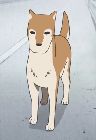 File:Buddy.png