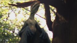 1x5 AnurognathusDansUnArbre.jpg