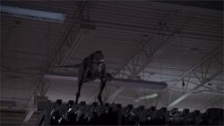 Daemonosaurus.jpg