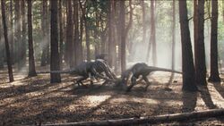 Episode3x10Raptor1.jpg
