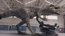 Episode3x4Giganotosaurus9
