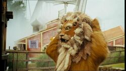 Costume Lion