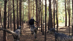 3x10RaptorsChassentAbbyDansLeCrétacé