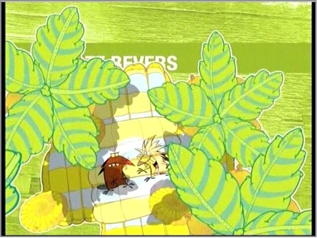 Bestand:Boze Bevers, Zomer, NU , 0002.jpg