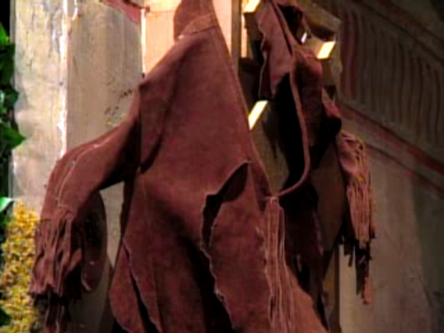 File:Lion-Slashed Jacket of Sacagawea.png