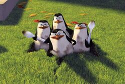 Madagascar-1.jpg