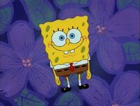 SpongeBob SquarePants (character) - Nickelodeon - Wikia