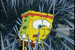 275