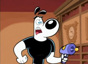 Dudley puppy