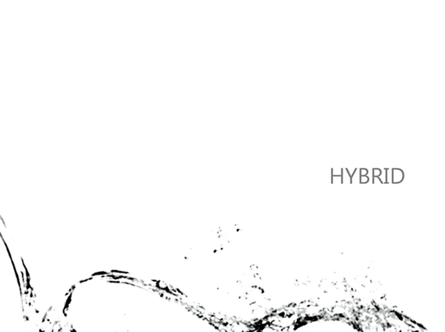 File:HYBRID niki.png
