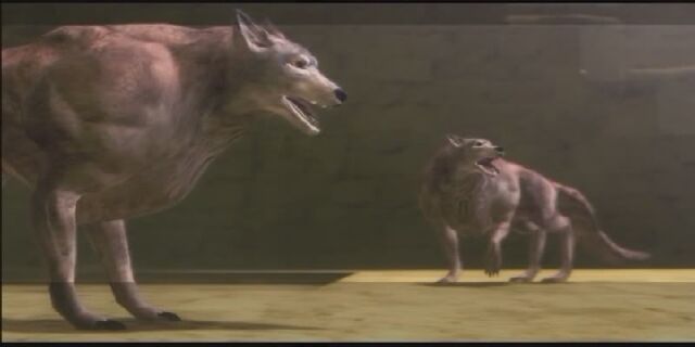 File:30-wolves.jpg