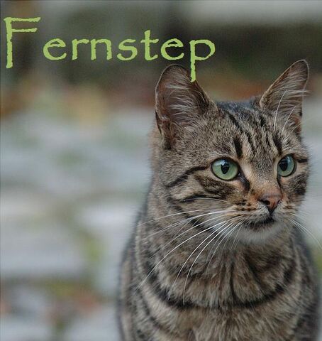 File:Fernstep.jpg