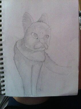 Mewmewmew