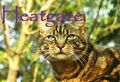 Thumbnail for version as of 18:31, December 24, 2012