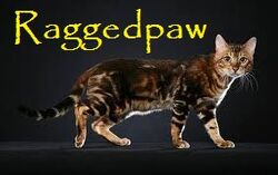 Raggedpaw