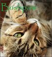 Thumbnail for version as of 23:10, December 23, 2012