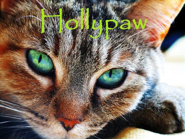 File:Hollypaw.jpg