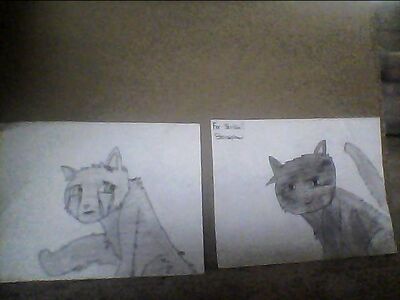 Photo 00009