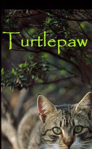 File:Turtlepaw.jpg