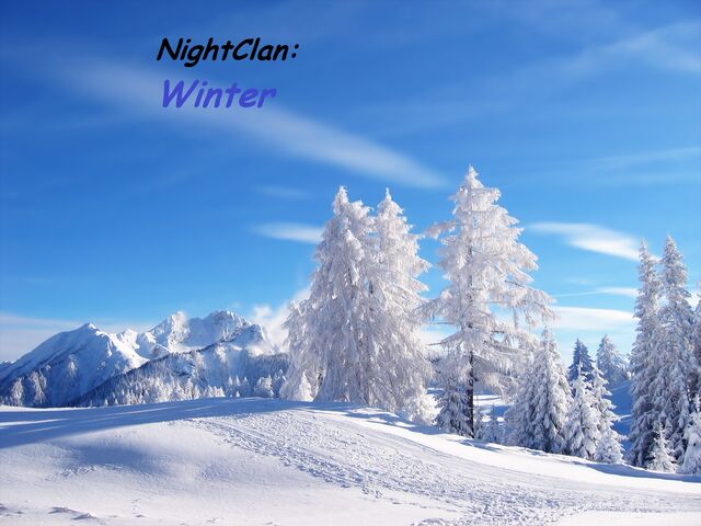 File:WinterYAY.jpg