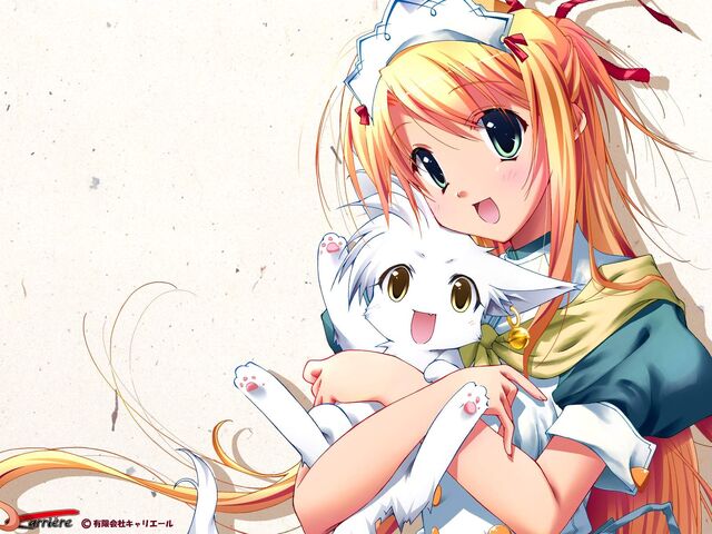 File:Anime wallpaper-1.jpg