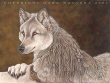 Eclipse by darknatasha